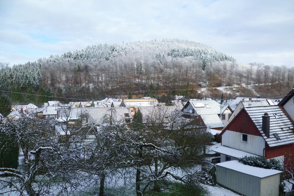 Schwarzwald Domizil Uhlsberg Kippenheim Exterior foto