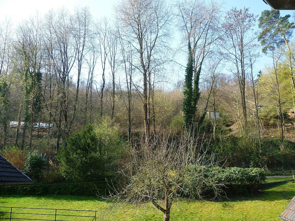 Schwarzwald Domizil Uhlsberg Kippenheim Exterior foto