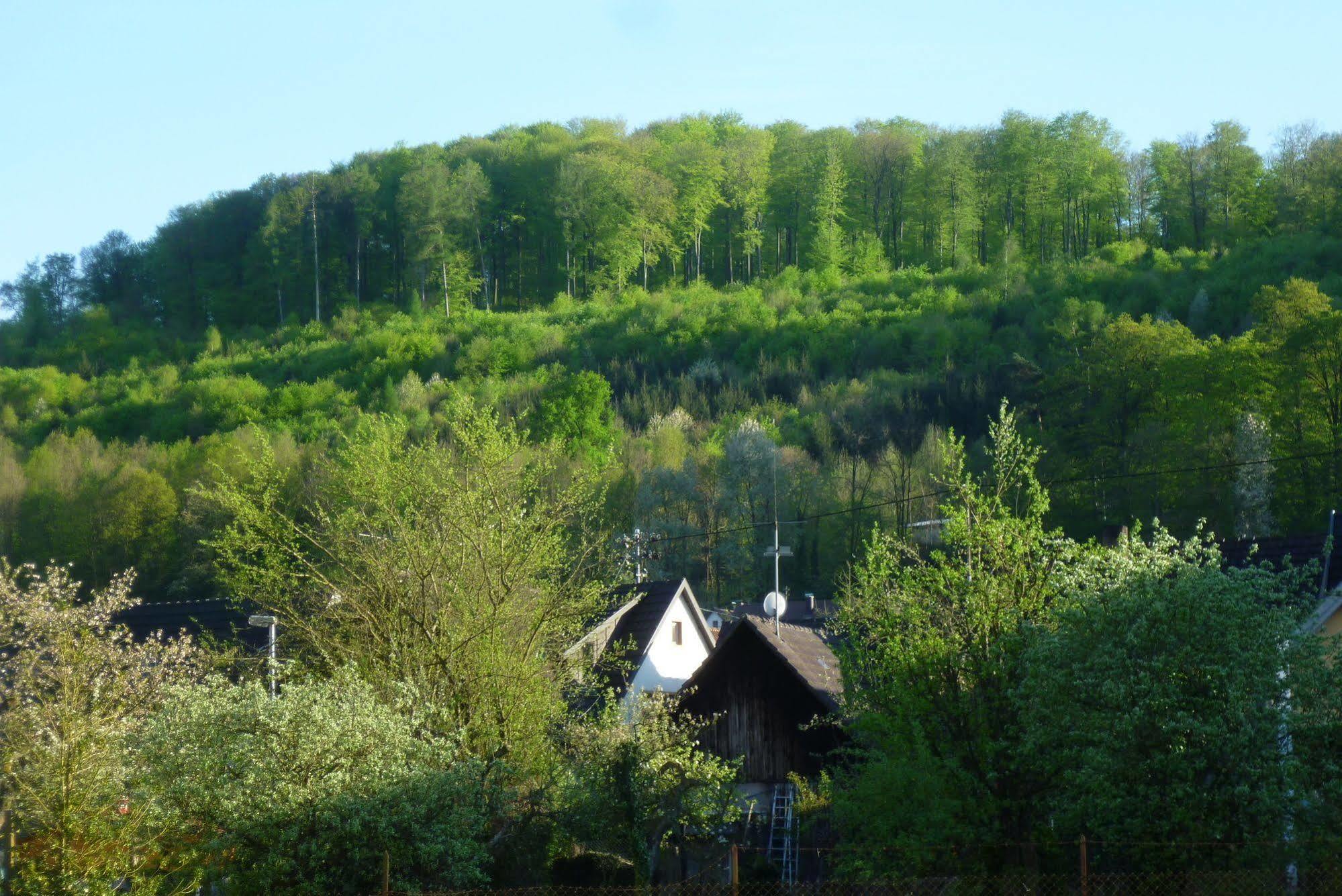Schwarzwald Domizil Uhlsberg Kippenheim Exterior foto